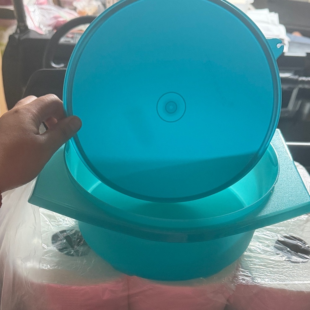 Tupperware Blue Food Storage Container